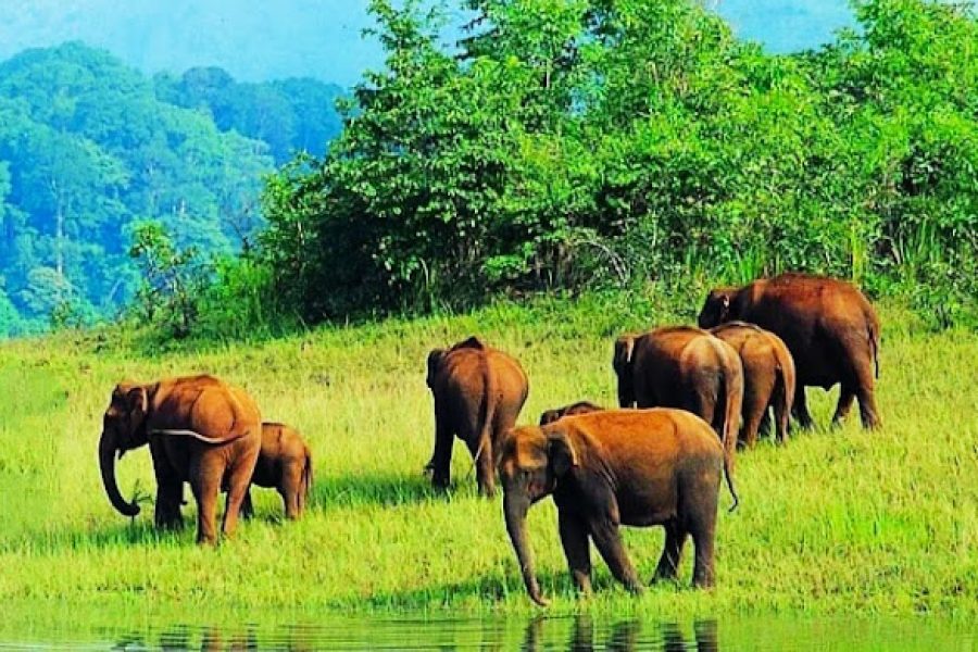 Kerala Holiday Packages