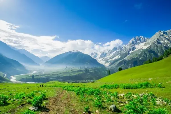 Family enjoying holiday in Kashmir with trips to Gulmarg, Pahalgam, and Srinagar