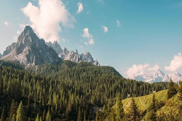 Family Nepal tour package with safe travel, kid-friendly hotels, guided sightseeing in Kathmandu, Pokhara, and Chitwan – perfect for children and parents.